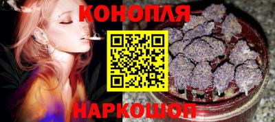 гидра Заводоуковск