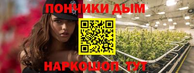 гидра Заводоуковск